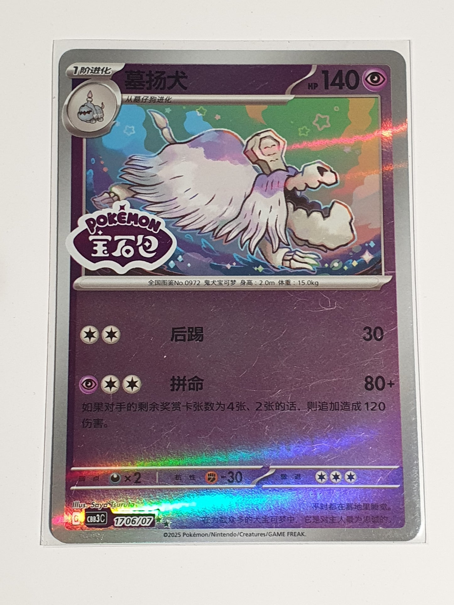 Gem vol 3 Houndstone stamped 1706/07 dysto