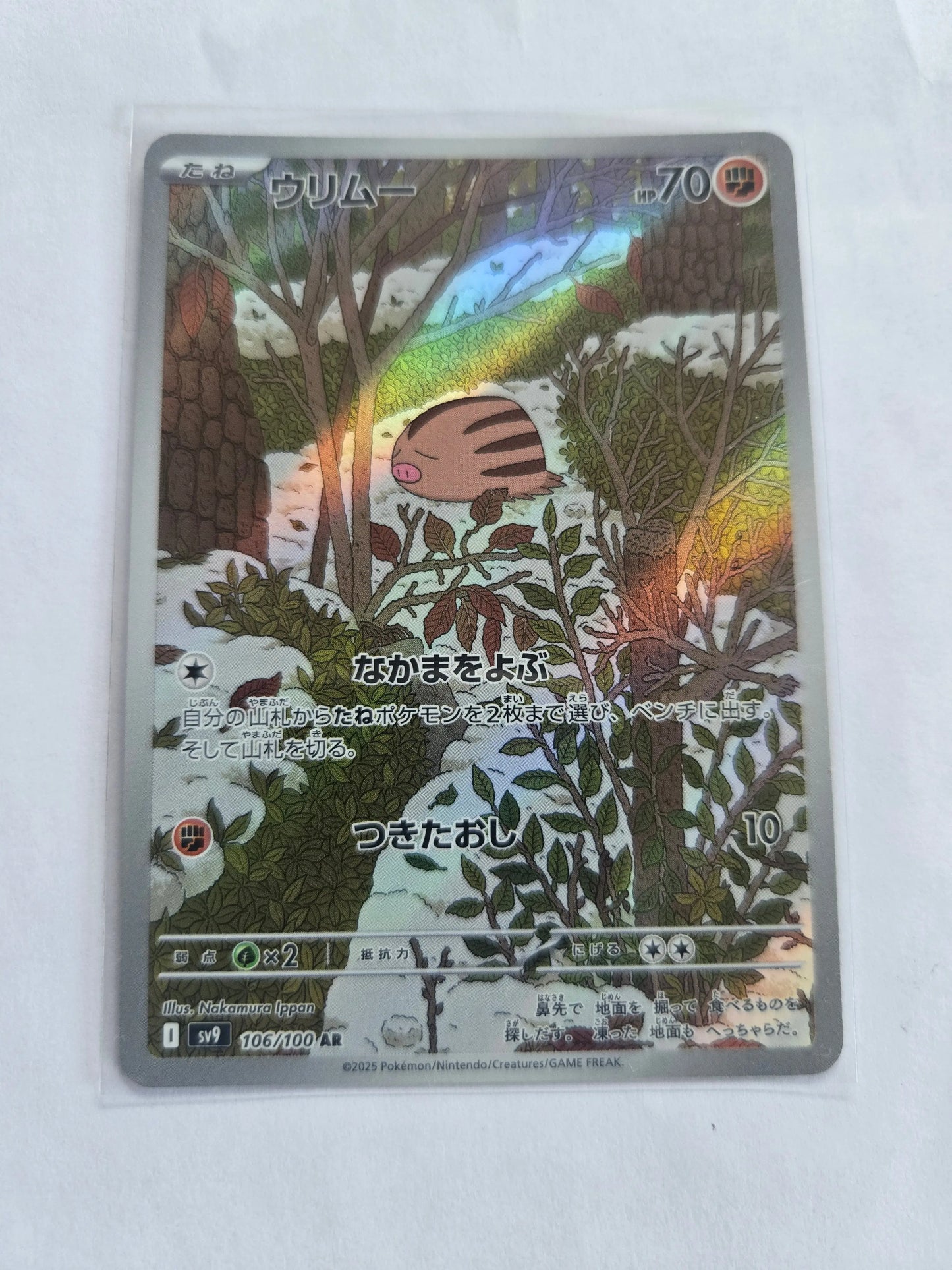Swinub AR 106/100 Battle Partners sv9 Pokemon Card Japnese Braspill AS