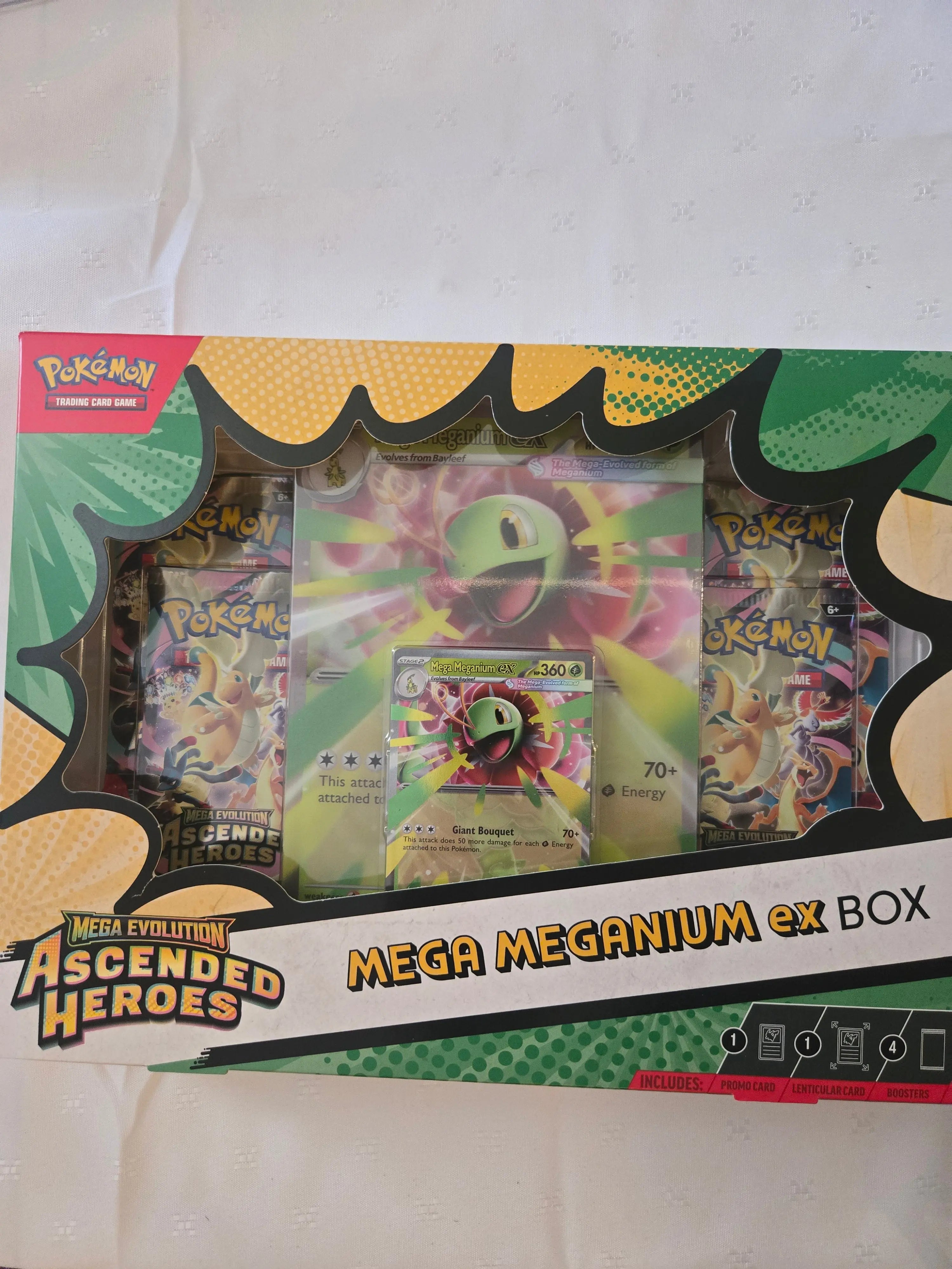 Pokémon Mega Evolution 2,5 gaveeske

Assortert Braspill AS
